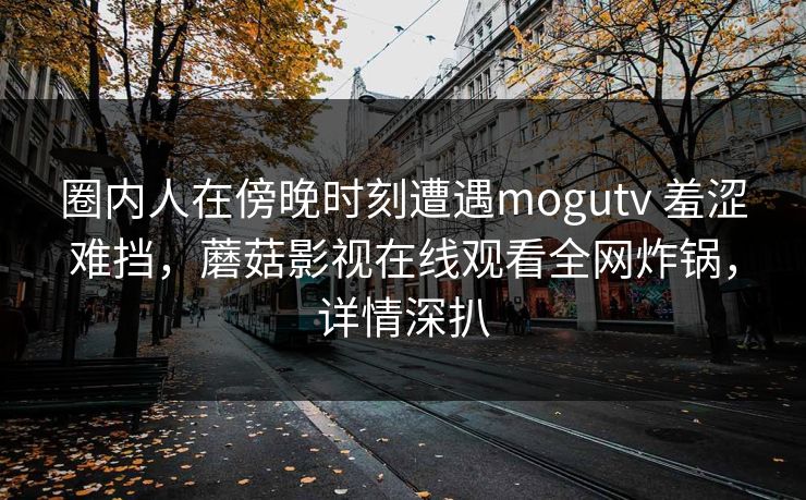 圈内人在傍晚时刻遭遇mogutv 羞涩难挡，蘑菇影视在线观看全网炸锅，详情深扒
