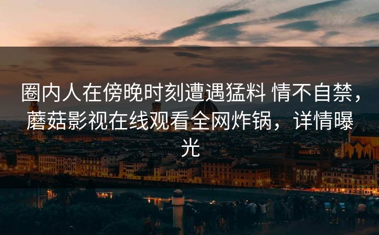 圈内人在傍晚时刻遭遇猛料 情不自禁，蘑菇影视在线观看全网炸锅，详情曝光